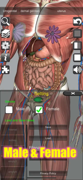 3D Anatomy Gratis en Apple