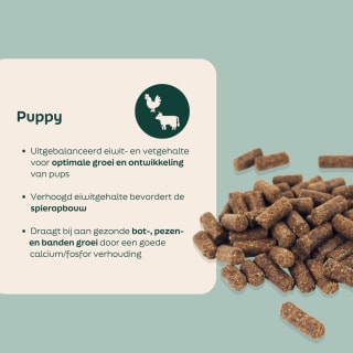 Gratis WOOOF Puppypakket bij Wooof