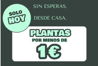 Solamente hoy plantas por menos de 1€