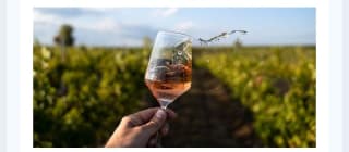Valle del Duero portugués 3 días ,cena y cata para 2 desde 199€.