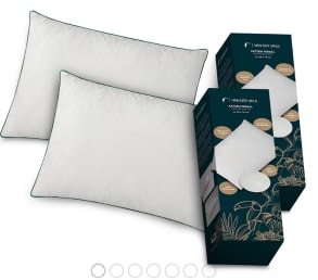 2 Van der Valk Hoofdkussens voor €52 in de AH voordeelshop