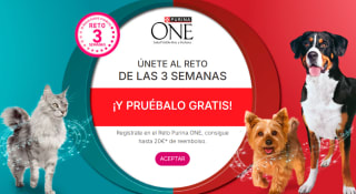 Recopilación 9 reembolsos productos variados para que los probéis gratis