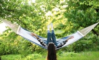 Tickets voor Leve de Tuin Festival voor €11 via Leukste tickets