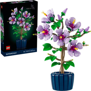 LEGO Botanicals Hibiscus - 10372 voor €43,99 bij Bol