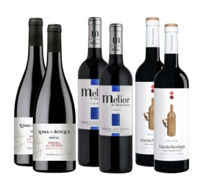 Colección Ribera del Duero tres añadas (Incluye 6 botellas) a 41.4€