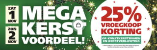 25% korting op kunstkerstbomen en kerstverlichting bij Ranzijn