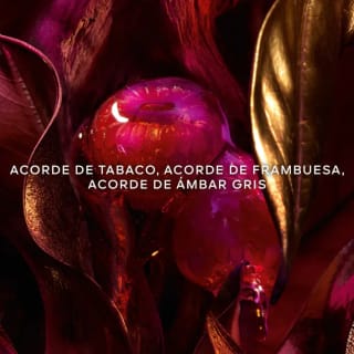 Guerlain Absolus Allegoria Tabac Sahara Eau de Parfum 75 ml por 53,50€ en Primor