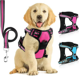 Arnés para perro con líneas reflectantes por 8.49€