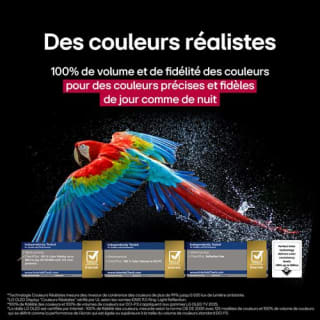 TV LG OLED Evo OLED77C5 77" pour 2999€ à Fnac