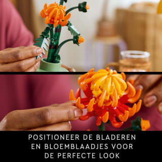 LEGO Icons Chrysant - Botanical Collection - 10368 voor €12,99 bij Bol