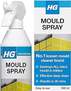 HG Mould Spray 500ml for £4.33