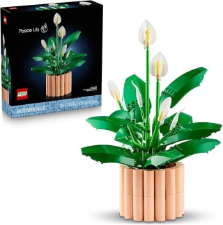 LEGO Botanicals Lepelplant voor €37,99 bij Amazon
