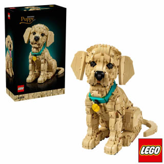 LEGO Icons Golden Retriever Puppy Set 11384 for £89.99