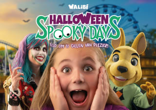 After Summer Days 2 tickets voor €46 bij Walibi Holland