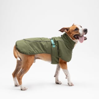 Chaqueta de perro impermeable L Rebaja $6.390 disponible en Casa Ideas, Chile