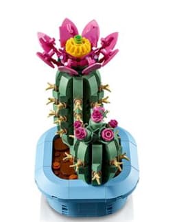 LEGO Botanicals 11509 Cactus en Flor por 20.99€