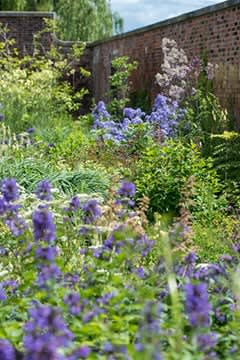 Free RHS garden entry for up to 2 adults at RHS