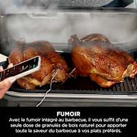 Barbecue Ninja Woodfire Pro Connect XL (OG901EU) pour 354,99€
