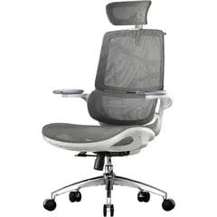 SIHOO M59AS Ergonomic Office Chair, £129.16