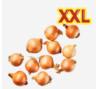 5 Kilo uien voor €1,99 bij de Aldi