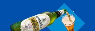 Zubr Polish Lager (6% ABV) 4 x 500ml for £5.49 at Lidl