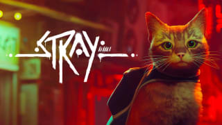 Stray pour 11,33€ chez Fanatical