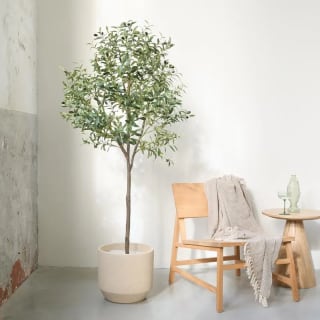 Kunst olijfboom 175 cm voor €34,95 bij Action