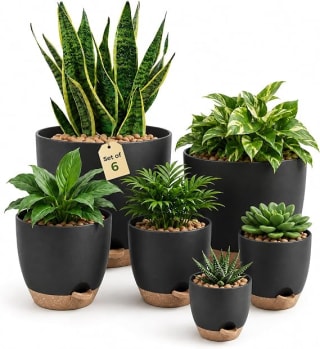 Bamworld lot de 6 pots auto-arrosants (12,7–20,3 cm) pour 23,74€ chez Amazon