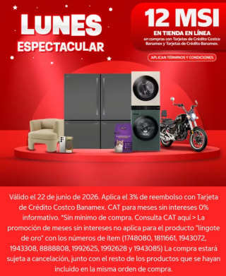 Hasta 12 meses sin intereses | Costco
