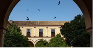 Escapada andaluza a Sanlúcar y Parque Doñana desde 47€ pxp