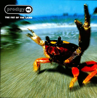 The Prodigy Fat of The Land (LP) pour 27,99€ chez Amazon