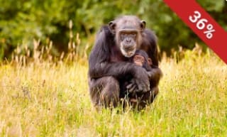 Dagticket Eindhoven Zoo voor €17 bij Social Deal