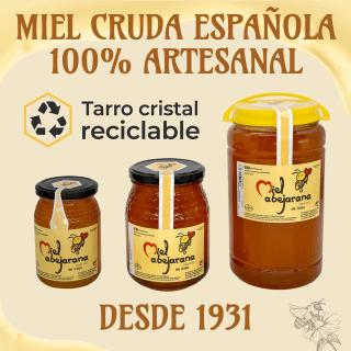 Miel Abejarana Miel de Mil Flores 2kg por 17,15€