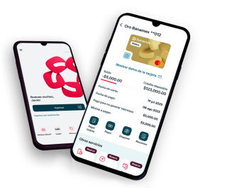 10% de Bonificación en Compras a Meses Sin Intereses en Banamex