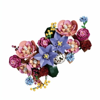 LEGO Botanicals Bloemenwand 11503 voor €55,99 bij Bol