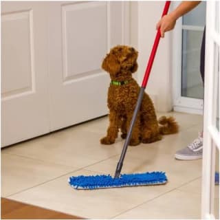 Mopa plana Vileda Pet Pro Flipmop por 11,99€