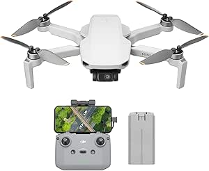 Dron DJI Mini 4K, 12 megapixel, 31 min Autonomía por 209€