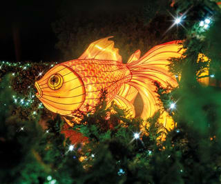 Phantasialand Wintertraum voor €29 bij Phantasialand