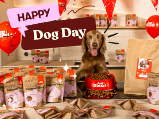 1 jaar lang gratis snacks bij iedere bestelling bij JustRusse