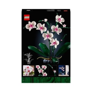 LEGO 10311 L’orchidée pour 36,99€