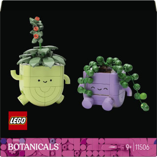 LEGO Botanicals 11506 - Petites Plantes Dansantes pour 11,99€ chez Auchan