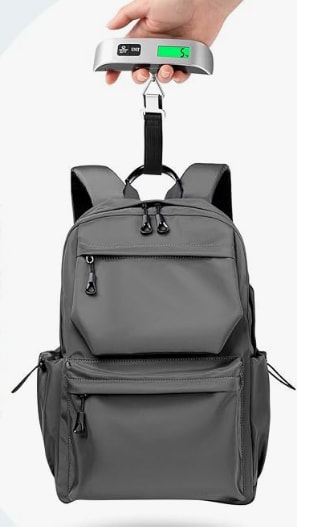 Pèse Bagages Numérique Portable Balance Pèse Valise de Voyage Fonction Tare à 6,99€