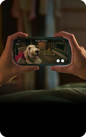 Blink Mini 2K+ (2 camera's) voor €43,99 bij Amazon