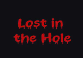 Jeu Lost in the Hole offert