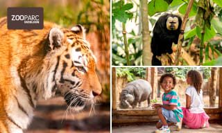 ZooParc Overloon – dagentree €17,50 i.p.v. €25