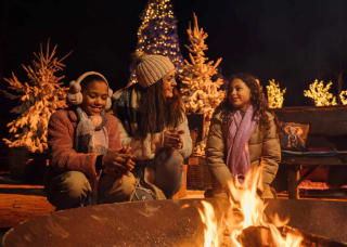 1 nacht gratis bij verblijf vanaf 3 nachten bij Safaripark Beekse Bergen