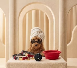 Gratis The Dog Spa hondendoekjes bij Rituals vanaf €30 besteding