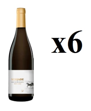 6 Botellas de Miriade by Pago de Vallegarcía 2023 por 41€