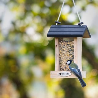 -80% op geselecteerde vogelproducten bij Vivara