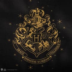 Bolsa Hogwarts de Cinereplicas ahora por 5,99€